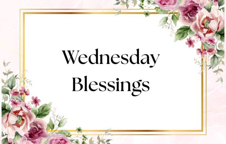 Wednesday Blessings